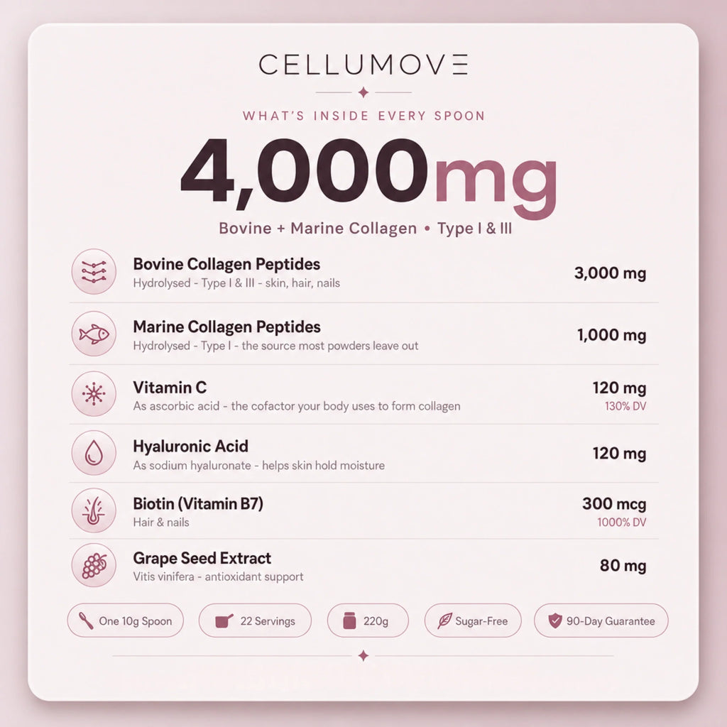 Multi Collagen Superblend — Chocolate | Firmer Skin, Fuller Hair, Stronger Nails